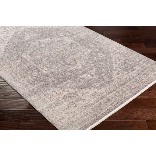 Surya Subtle SUB-2321 Light Gray Traditional  Rug