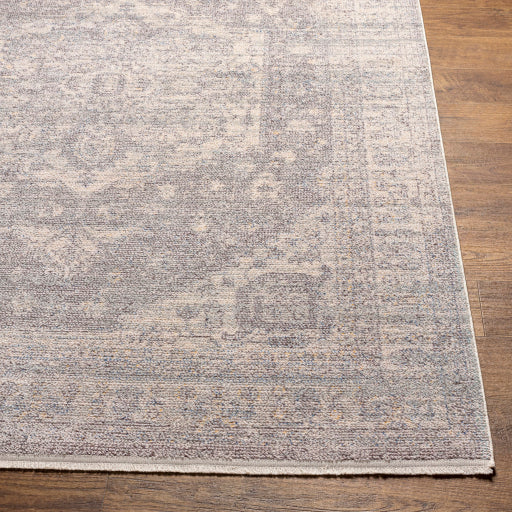 Surya Subtle SUB-2321 Light Gray Traditional  Rug