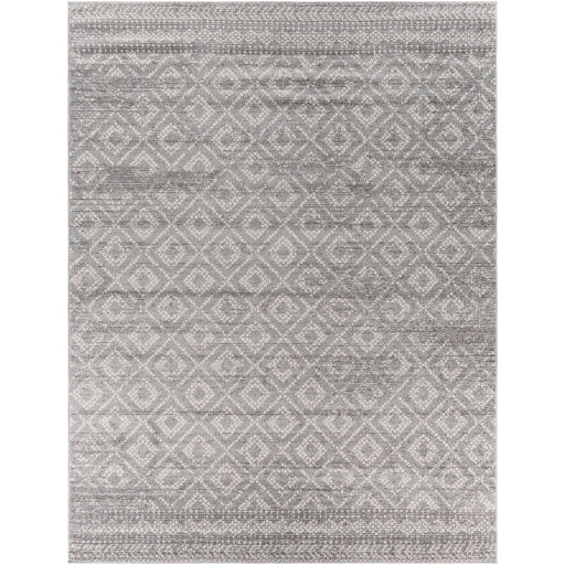 Surya Sunderland SUN-2302 Charcoal Global  Rug