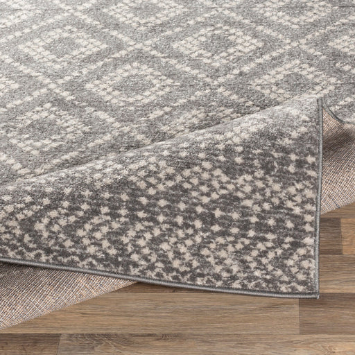 Surya Sunderland SUN-2302 Charcoal Global  Rug