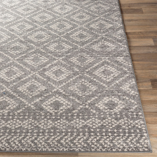 Surya Sunderland SUN-2302 Charcoal Global  Rug