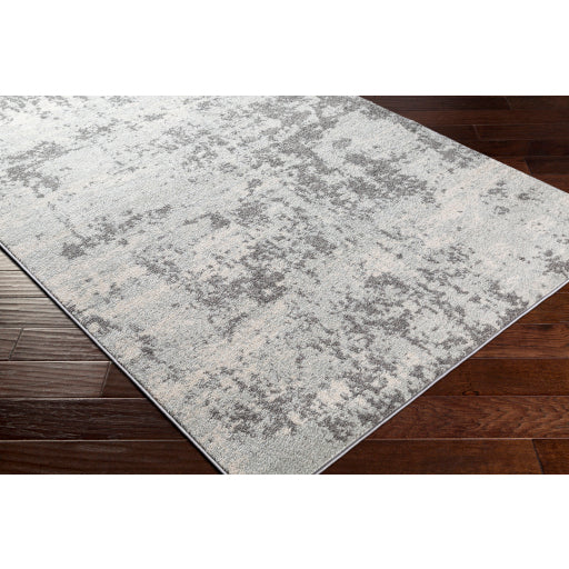 Surya Sunderland SUN-2318 Charcoal Modern  Rug