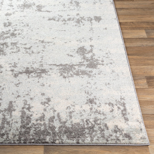 Surya Sunderland SUN-2318 Charcoal Modern  Rug