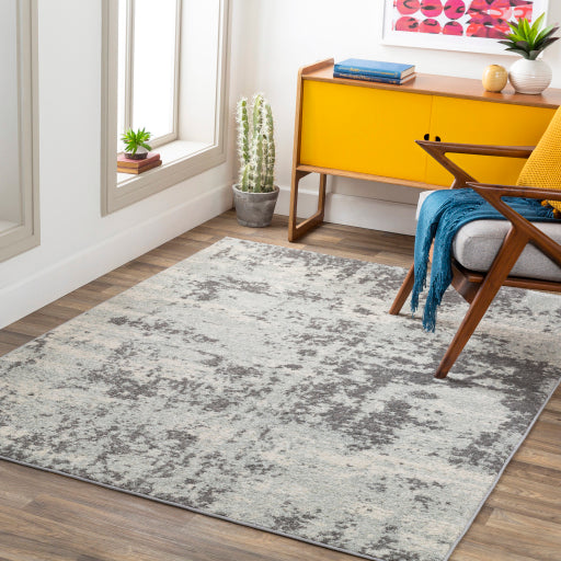 Surya Sunderland SUN-2318 Charcoal Modern  Rug