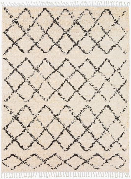 Surya Berber Shag BBE-2300 Charcoal  Global Machinemade Rug