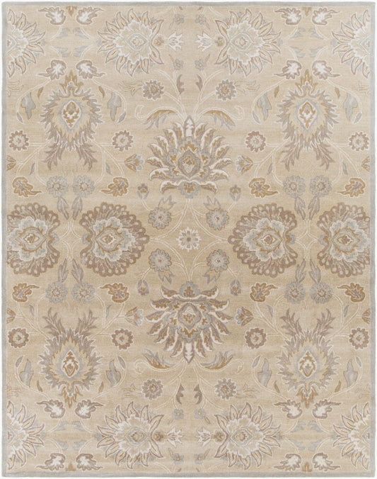 Surya Caesar CAE-1192 Taupe  Traditional Tufted Rug