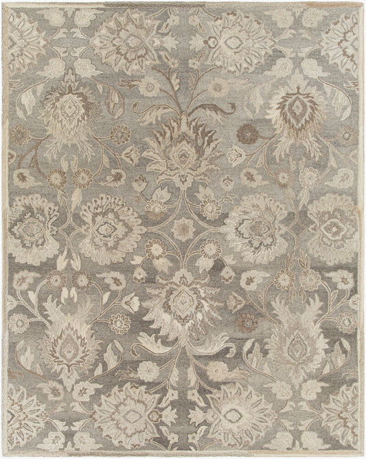 Surya Caesar CAE-1195 Taupe  Traditional Tufted Rug