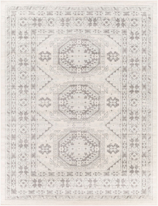 Surya Chester CHE-2309 Seafoam  Global Machinemade Rug