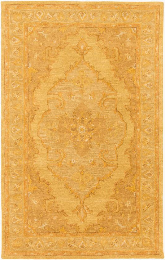 Surya Middleton AWHR-2059 Mustard  Traditional Tufted Rug