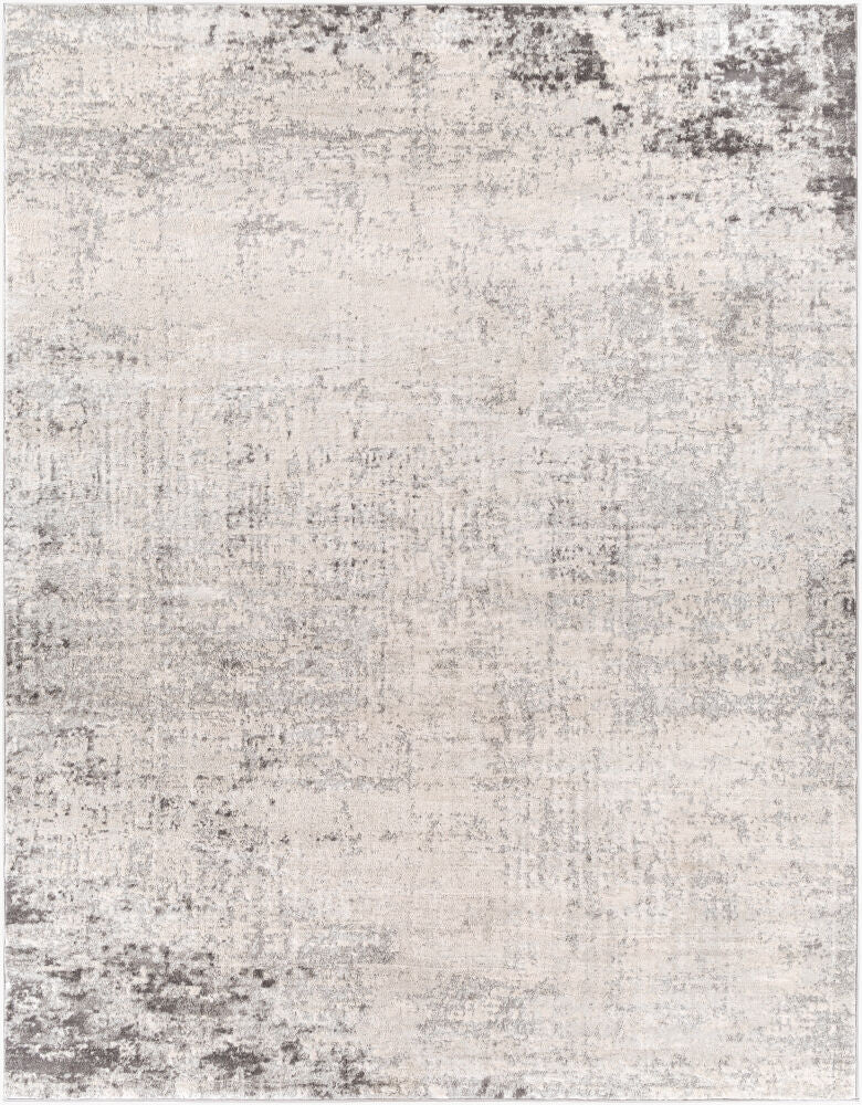 Surya Roma ROM-2393 Charcoal  Modern  Rug