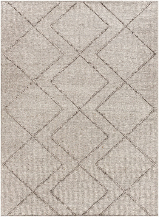 Surya Sarasota SSO-2307 Taupe  Modern  Rug