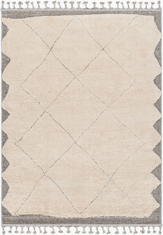 Surya Sousse SUS-2304 Light Beige  Global  Rug