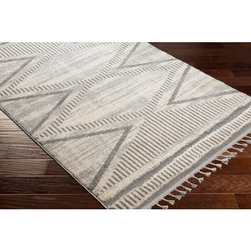 Surya Sousse SUS-2300 Gray Global  Rug