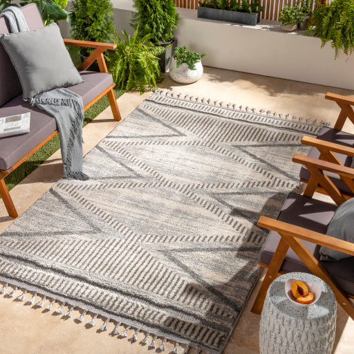 Surya Sousse SUS-2300 Gray Global  Rug