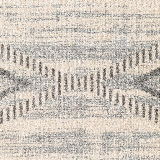 Surya Sousse SUS-2300 Gray Global  Rug