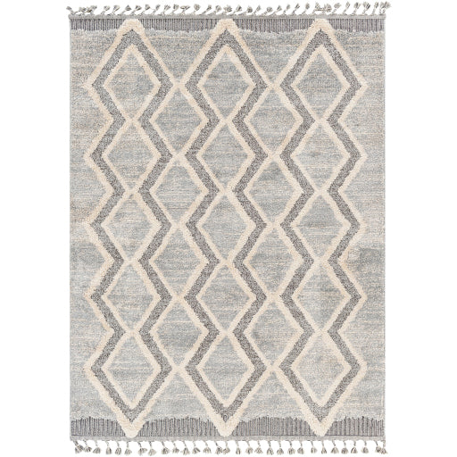 Surya Sousse SUS-2301 Gray Global  Rug