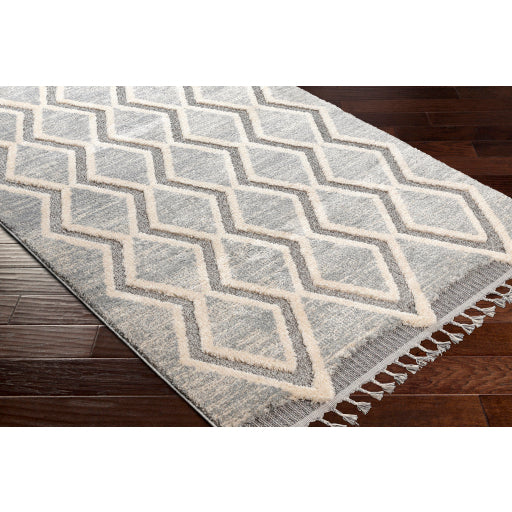 Surya Sousse SUS-2301 Gray Global  Rug