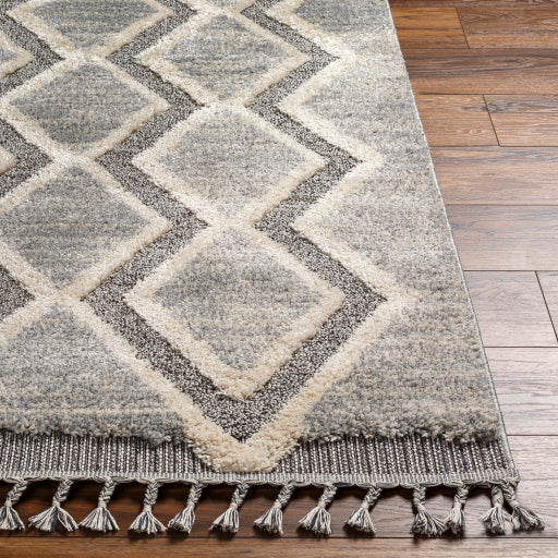 Surya Sousse SUS-2301 Gray Global  Rug