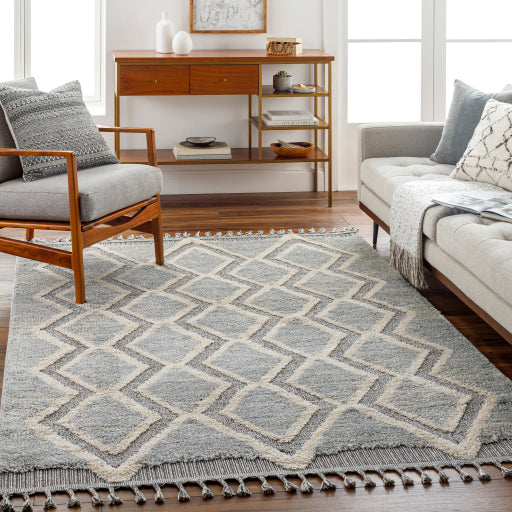 Surya Sousse SUS-2301 Gray Global  Rug