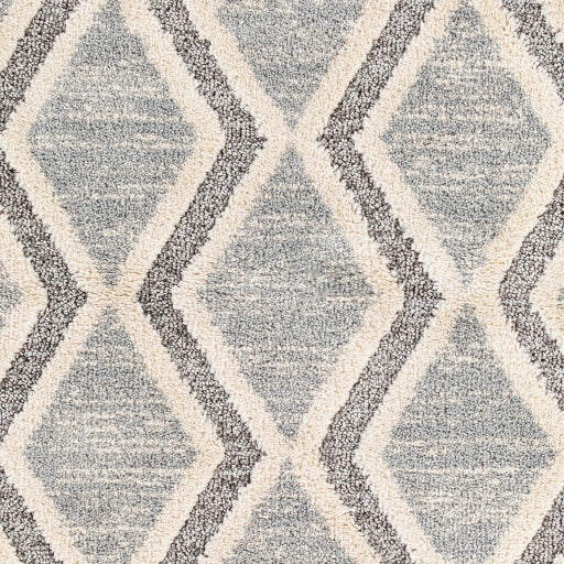 Surya Sousse SUS-2301 Gray Global  Rug