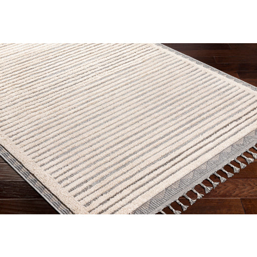 Surya Sousse SUS-2302 Light Beige Global  Rug