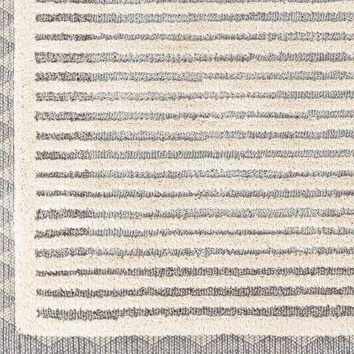 Surya Sousse SUS-2302 Light Beige Global  Rug