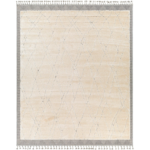 Surya Sousse SUS-2303 Light Beige Global  Rug