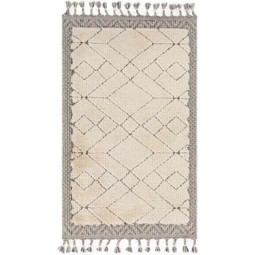 Surya Sousse SUS-2305 Light Beige Global  Rug