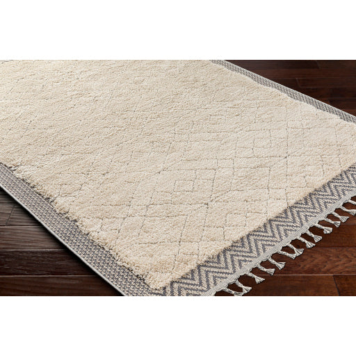 Surya Sousse SUS-2305 Light Beige Global  Rug