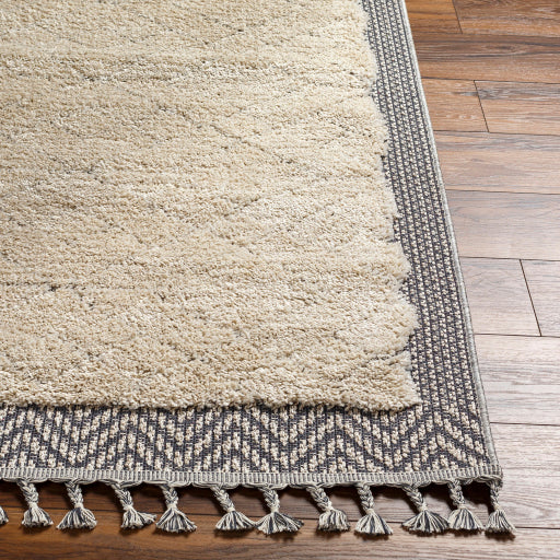 Surya Sousse SUS-2305 Light Beige Global  Rug