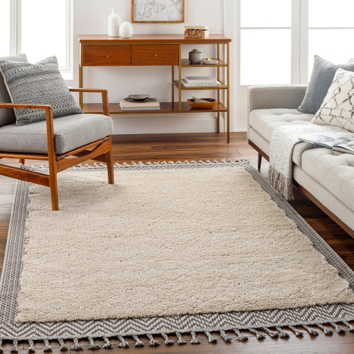 Surya Sousse SUS-2305 Light Beige Global  Rug