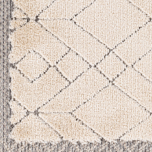 Surya Sousse SUS-2305 Light Beige Global  Rug