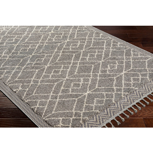 Surya Sousse SUS-2306 Gray Global  Rug