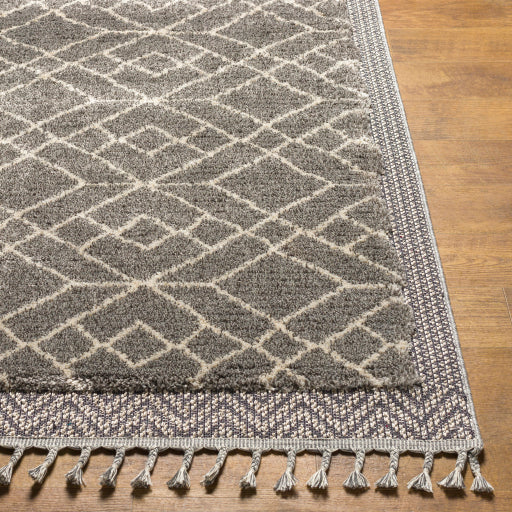 Surya Sousse SUS-2306 Gray Global  Rug