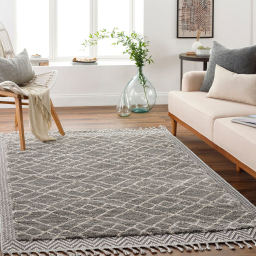 Surya Sousse SUS-2306 Gray Global  Rug