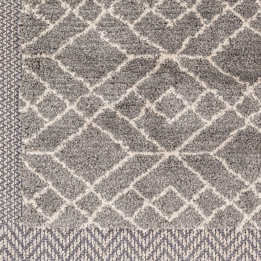 Surya Sousse SUS-2306 Gray Global  Rug