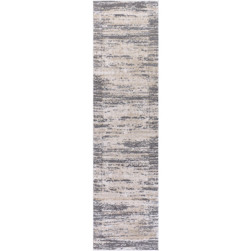 Surya Tibetan TBT-2304 Tan Modern  Rug