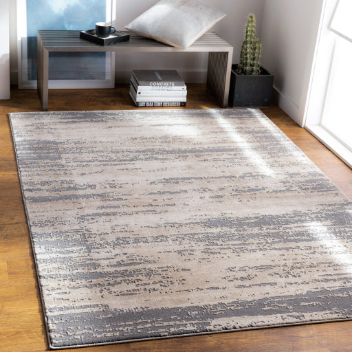 Surya Tibetan TBT-2304 Tan Modern  Rug