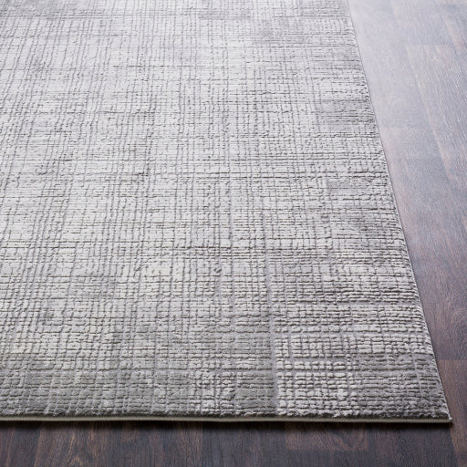 Surya Tibetan TBT-2306 Medium Gray Modern  Rug