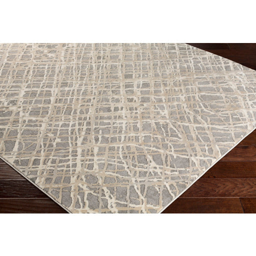 Surya Tibetan TBT-2316 Charcoal Modern  Rug