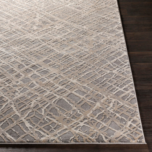 Surya Tibetan TBT-2316 Charcoal Modern  Rug