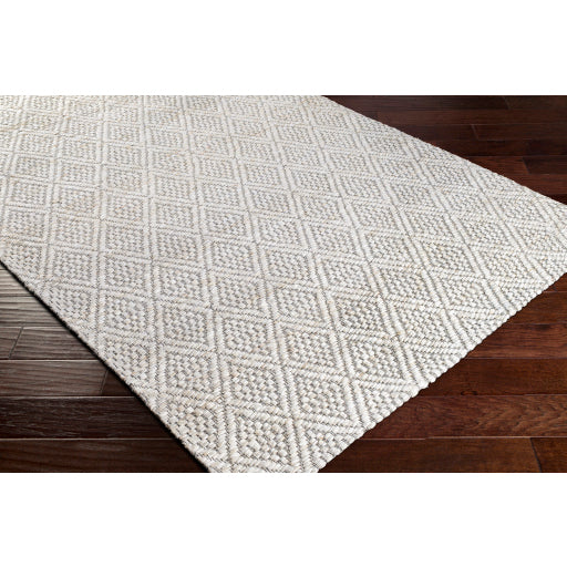 Surya Trace TCE-2301 Cream Modern  Rug