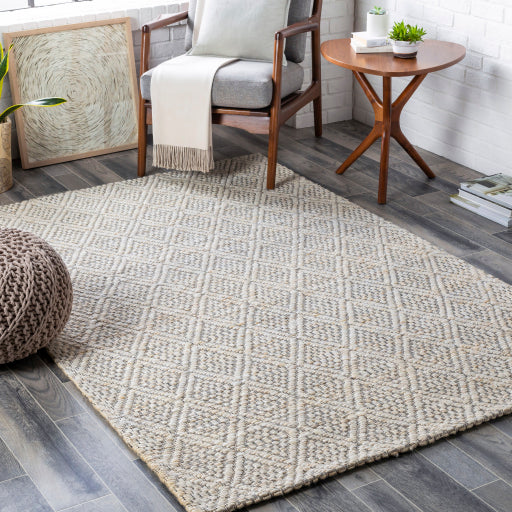 Surya Trace TCE-2301 Cream Modern  Rug