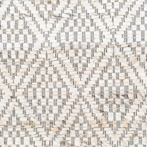 Surya Trace TCE-2301 Cream Modern  Rug