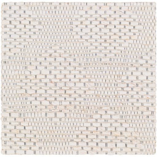 Surya Trace TCE-2304 Ivory Modern  Rug