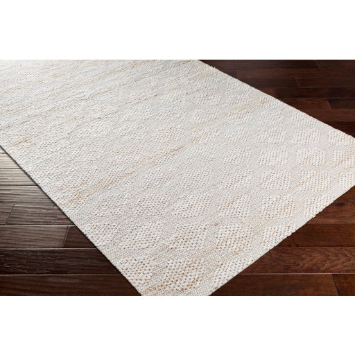 Surya Trace TCE-2304 Ivory Modern  Rug