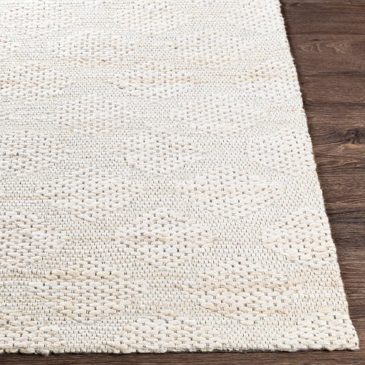 Surya Trace TCE-2304 Ivory Modern  Rug