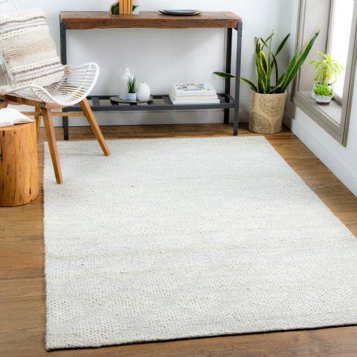 Surya Trace TCE-2304 Ivory Modern  Rug