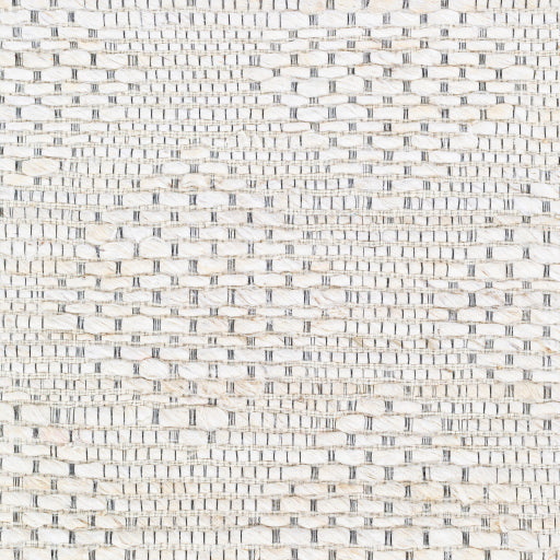 Surya Trace TCE-2304 Ivory Modern  Rug