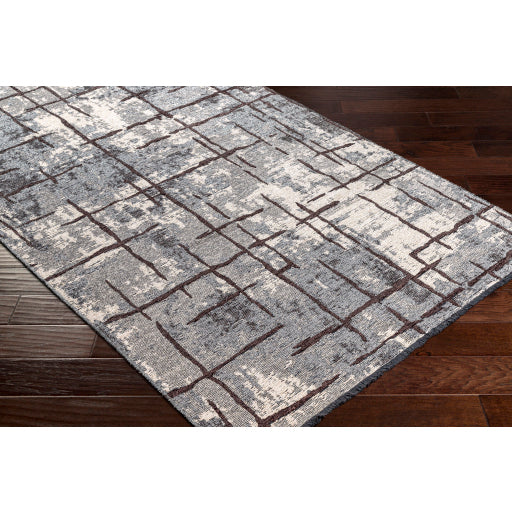 Surya Toscana TCN-2300 Slate Modern  Rug